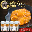 【ふるさと納税】塩うに 岩手県産 60g×4本_ うに ウニ 雲丹 海鮮 酒の肴 お取り寄せグルメ おつまみ おにぎりの具 海鮮丼 プレゼント 贈答 おすすめ ...