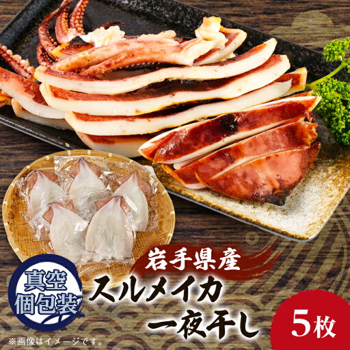 【ふるさと納税】スルメイカの一夜干し5枚セット【配送不可地域:離島】【1527275】 【ふるさと納税】スルメイカの一夜干し5枚セット【配送不可地域:離島】【1527275】
