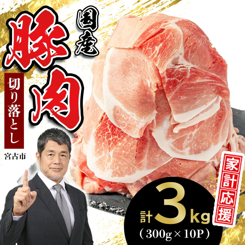 【ふるさと納税】家計応援!国産 豚肉 計3kg!(300g×10P) 豚 切り落とし 小分けで便利_ 豚肉 肉 国産 スライス 小分け 切り落し 冷凍 家庭用 人気 おすすめ 送料無料 便利 【配送不可地域：離島】【1658904】