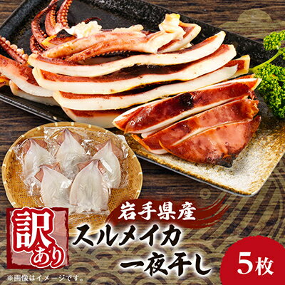 Rakuten - 【ふるさと納税】【訳あり】岩手県宮古市産スルメイカの一夜干し　5枚セット_ スルメイカ するめいか スルメイカ一夜干し 一夜干し イカ いか 烏賊 おつまみ 酒の肴 珍味 おかず グルメ 海鮮 贈答 ギフト 岩手県 宮古市 【配送不可地域：離島】【1527275】