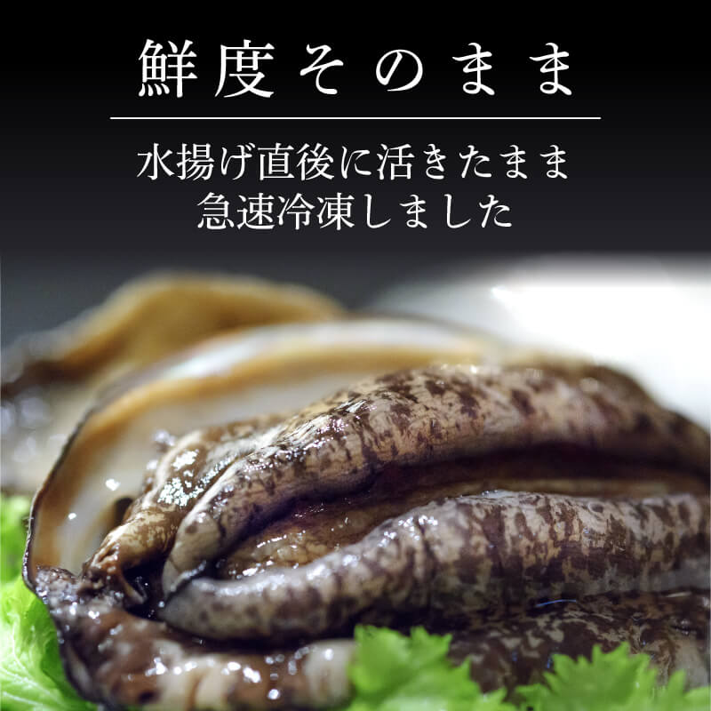 【ふるさと納税】 アワビ 約600g 三陸産 天然 冷凍 蝦夷アワビ 真空パック 小分け あわび 鮑 海鮮 バーベキュー 刺身 ステーキ 大船渡市 岩手県 20000円 2万円