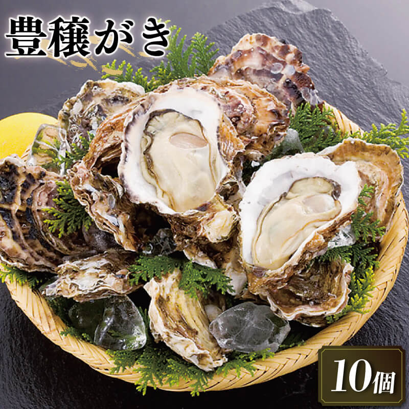 楽天ふるさと納税　【ふるさと納税】 豊穣かき 10個 生食用 殻付 冷凍 牡蠣 魚貝類 生牡蠣 殻付き かき カキ 鍋 岩手県 赤崎産 三陸 1万円 10000円