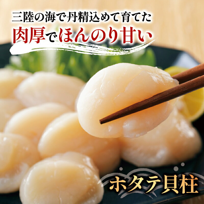 【ふるさと納税】 数量限定 訳あり ホタテ 貝柱 選べる容量 500g～2kg 冷凍 不揃い 帆立 ほたて わけあり 刺身 刺し身 バター焼き 魚介類 魚介 海鮮