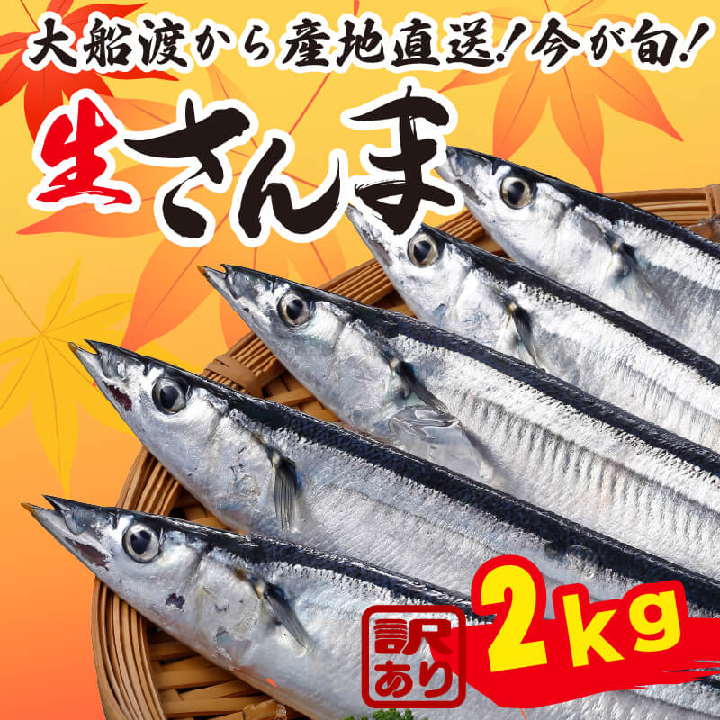 【ふるさと納税】 訳あり さんま 約2kg 冷蔵 鮮秋刀魚 期間限定 発送期日 2023年9月10日～2023年11月15日 三陸 岩手 大船渡市 傷あり サイズ不揃い サンマ 秋刀魚 海鮮 魚 焼き魚