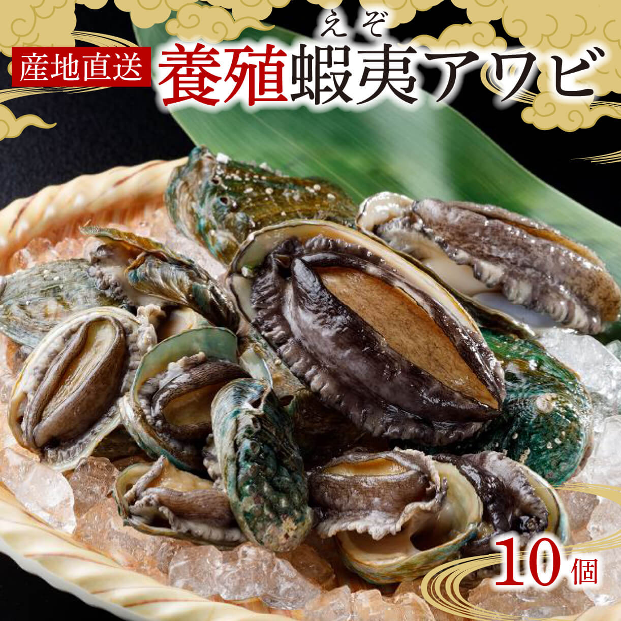 三陸産 産地直送”活”蝦夷あわび10ヶ（養殖） えぞあわび 鮑 アワビ 刺身 ステーキ 活アワビ あわび