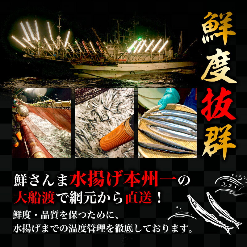 【ふるさと納税】 【先行予約】訳あり さんま 約2kg 冷蔵 鮮秋刀魚 発送期日 2024年9月下旬～2024年11月下旬 三陸 岩手 大船渡市 サンマ 秋刀魚