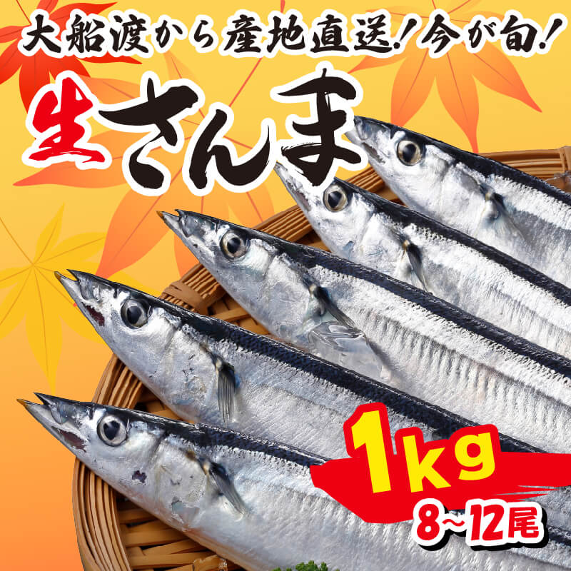 【ふるさと納税】 さんま 約1kg 冷蔵 鮮秋刀魚 期間限定 発送期日 2023年9月10日～2023年11月15日 三陸 岩手 大船渡市 サンマ 秋刀魚 海鮮 魚 焼き魚