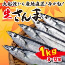 【ふるさと納税】 さんま 約1kg 冷蔵 鮮秋刀魚 期間限定 発送期日 2023年9月10日～2023年11月下旬 三陸 岩手 大船渡市 サンマ 秋刀魚 海鮮 魚 焼き魚