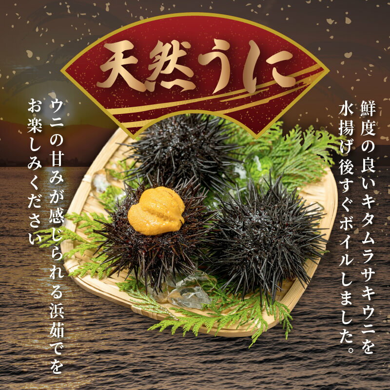 【ふるさと納税】 訳あり うに 浜ゆで うに 200g（100g×2）冷凍 ミョウバン不使用 岩手県産 三陸 雲丹 うに ウニ 海鮮