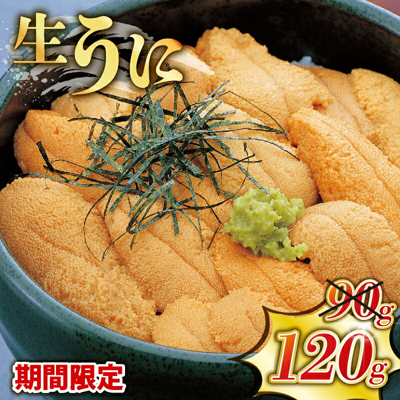 【ふるさと納税】 6/4～6/11 期間限定 うに 120g 生ウニ 岩手県産 冷蔵 雲丹 小分け 無添加 ミョウバン不使用 スーパーセール 父の日 楽天限定のサムネイル