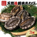 【ふるさと納税】 あわび 3個 約300g 