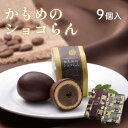 28位! 口コミ数「6件」評価「5」 かもめのショコらん9個入 お菓子 スイーツ 洋菓子 銘菓 大船渡 岩手県 チョコレート ショコラ 卵型 お茶菓子 焼き菓子 焼菓子 餡 お･･･ 