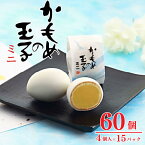 【ふるさと納税】 かもめの玉子 ミニ 4個入 × 15パック (計60個) お菓子 スイーツ 洋菓子 銘菓 大船渡 岩手県 卵型 お茶菓子 焼き菓子 焼菓子 餡 おやつ お土産 手土産 さいとう製菓