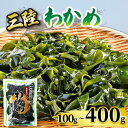 【ふるさと納税】 わかめ 選べる 容量 100g~400g 湯通し塩蔵わかめ 海鮮 海藻 魚貝類 魚介類 小分け みそ汁 スープ 酢の物 三陸産 岩手県 大船渡市