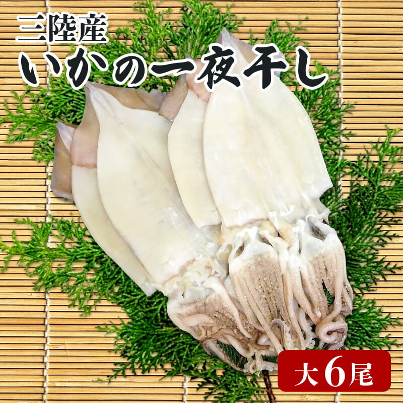 【ふるさと納税】 いか 一夜干し 大 6尾 イカ 烏賊 魚介類 三陸 冷凍 つまみ 釣り 丸干し 干物 おつまみ 父の日 15000円