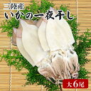 17位! 口コミ数「12件」評価「3.92」 いか 一夜干し 大 6尾 イカ 烏賊 魚介類 三陸 冷凍 つまみ 釣り 丸干し 干物 おつまみ 父の日 15000円