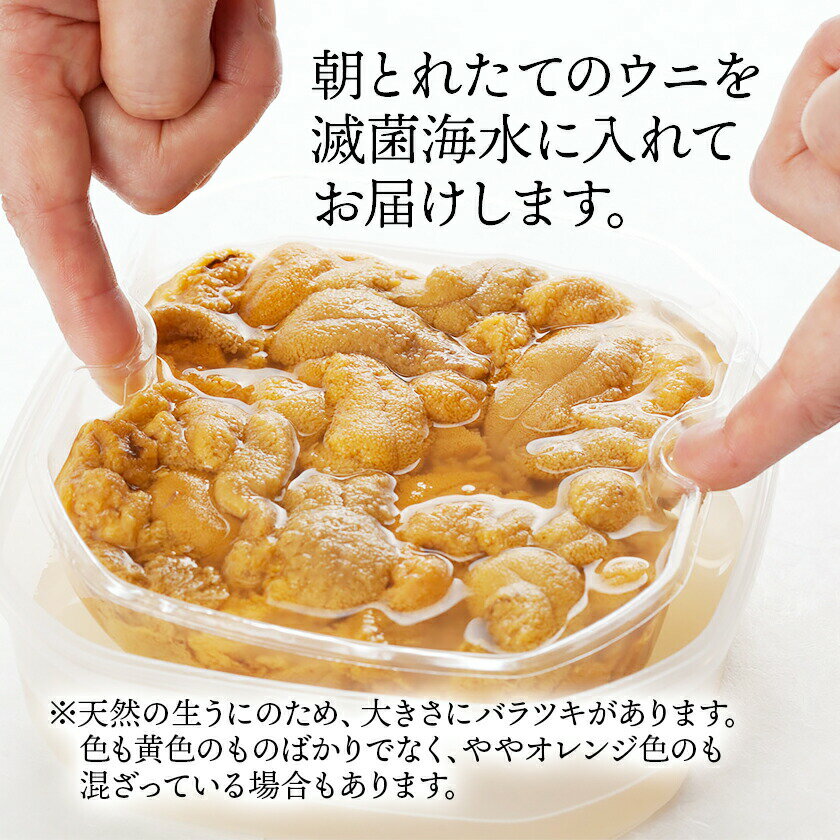 【ふるさと納税】 先行予約販売!! 生ウニ 300g 岩手県産 うに 冷蔵 雲丹 小分け 無添加 ミョウバン不使用 ムラサキウニ 季節限定 生うに 生雲丹 天然 海鮮丼 寿司 ウニ丼 刺身 20000円 2万円