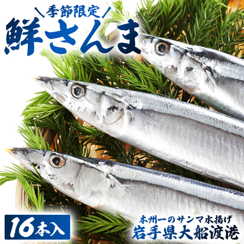 【ふるさと納税】 鮮さんま 16本入 岩手大船渡産 サンマ 秋刀魚 産地直送 鮮魚 さんま