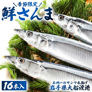 【ふるさと納税】 鮮さんま 16本入 岩手大船渡産 サンマ 秋刀魚 産地直送 鮮魚 さんま