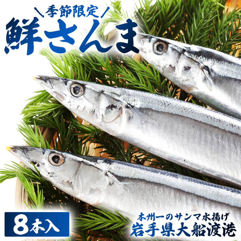 【ふるさと納税】 鮮さんま 8本入 岩手大船渡産 サンマ 秋刀魚 産地直送 さんま 新鮮 期間限定 鮮魚