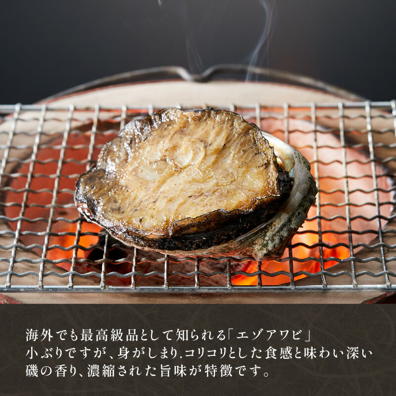 【ふるさと納税】 天然 エゾアワビ 500g 冷凍 三陸 蝦夷アワビ エゾ鮑 あわび アワビ エゾ鮑 蝦夷 鮑 エゾアワビ ステーキ 個包装 バター焼き 海鮮 肉厚 プロトン凍結 ヘラ付き 岩手県産 三陸産 国産 大船渡市 岩手県 25000円