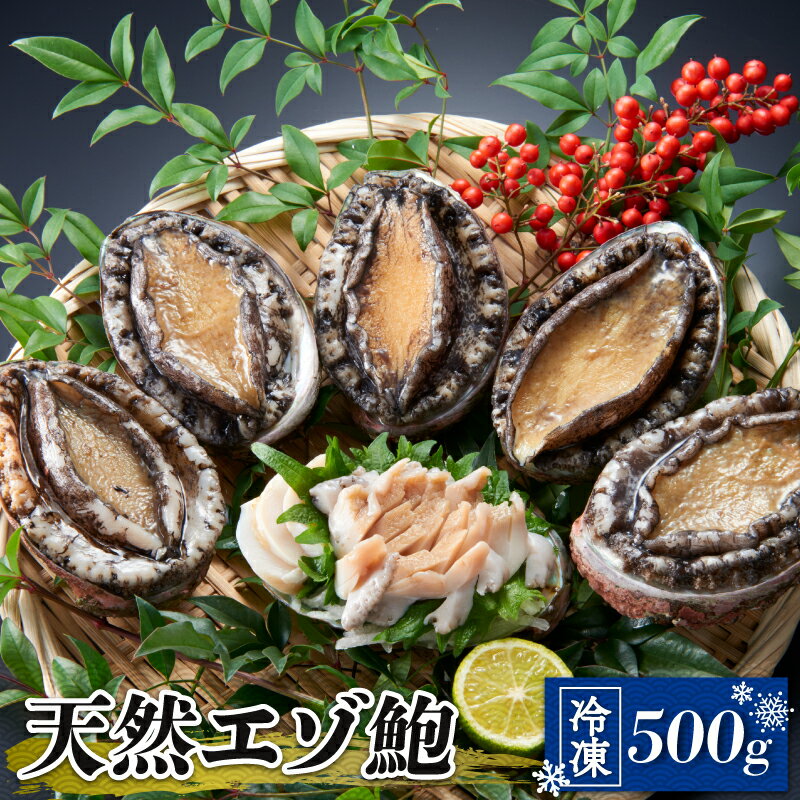 【ふるさと納税】 天然 エゾアワビ 500g 冷凍 三陸 蝦夷アワビ エゾ鮑 あわび アワビ エゾ鮑 蝦夷 鮑 エゾアワビ ステーキ 個包装 バター焼き 海鮮 肉厚 プロトン凍結 ヘラ付き 岩手県産 三陸産 国産 大船渡市 岩手県 25000円