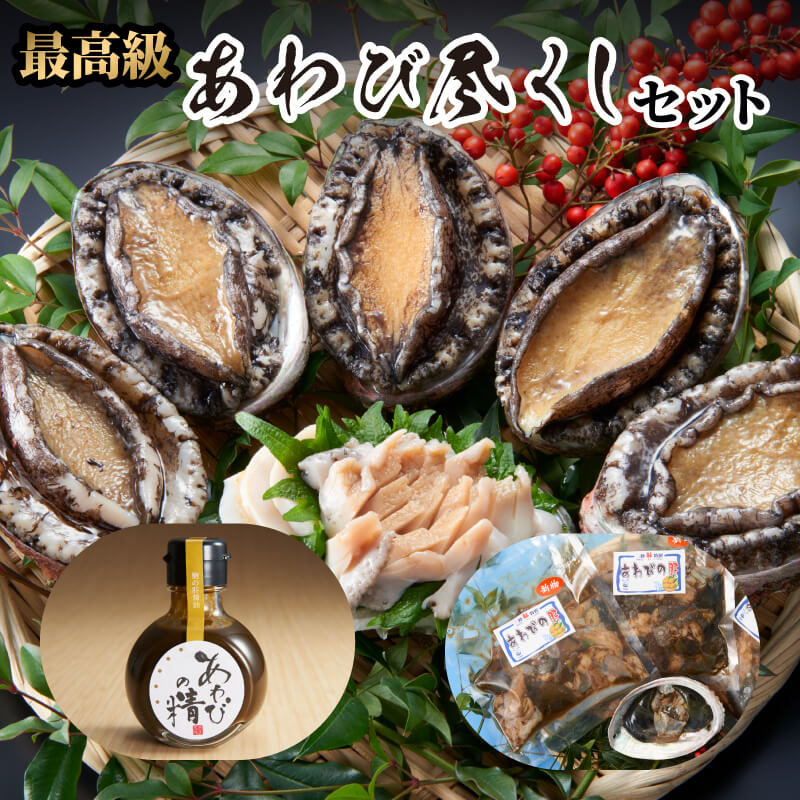 【ふるさと納税】 あわび セット 計1.1kg 天然 蝦夷アワビ 500g 肝 300g×2 肝醤油 100ml×2本 冷凍 刺身 魚介類 貝 醤油 調味料 鮑 アワビ あわび肝 肝醤油 エゾアワビ 蝦夷あわび プロトン凍結 あわびの精 30000円