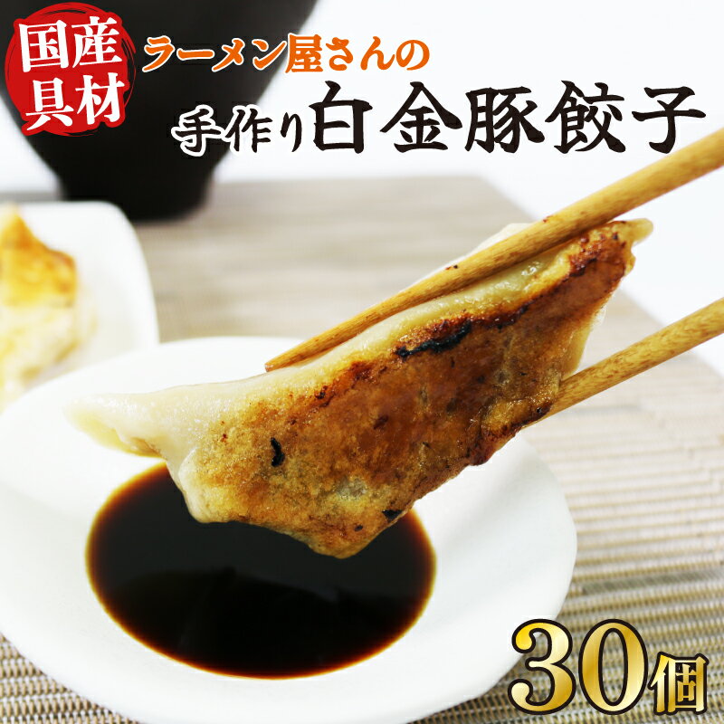 【ふるさと納税】 手作り餃子 冷凍 30個 6個×5pc 白金豚 ブランド豚 国産具材使用 簡単調理 ご飯のお供 惣菜 お弁当 冷凍食品 10000円 1万円 黒船 大船渡市