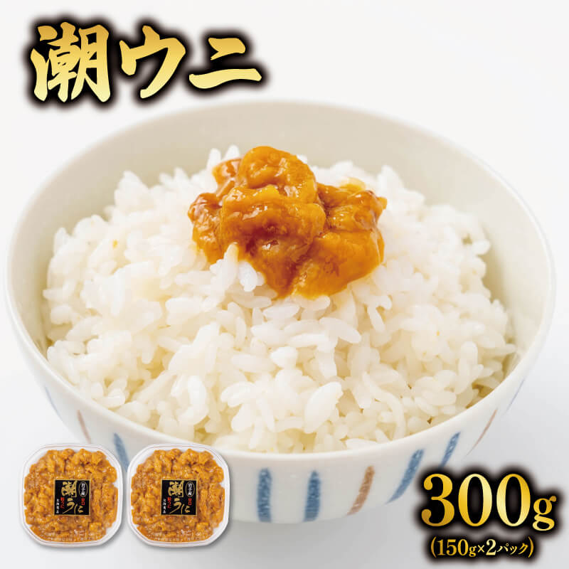 【ふるさと納税】 三陸産 ウニ 300g (150g×2 )無添加 冷凍 ( ミョウバン不使用 無添加 冷凍 潮うに 塩...