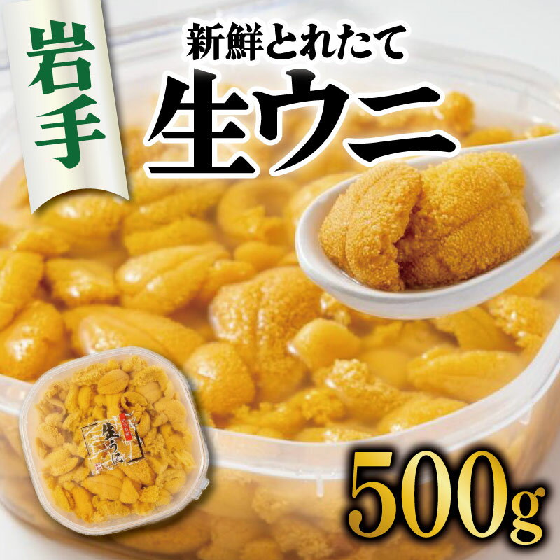 【ふるさと納税】 生うに 500g 冷蔵 たっぷり 岩手県産 雲丹 無添加 ミョウバン不使用 うに 期間限定 季節限定 三陸 岩手 大船渡市 今が旬