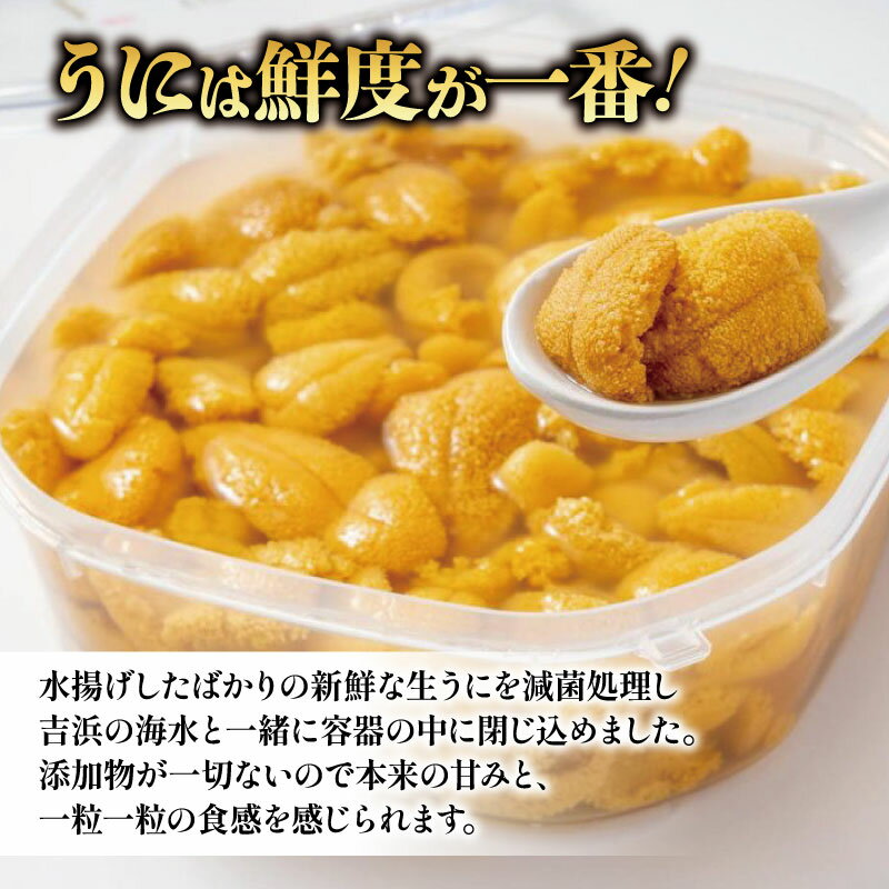 【ふるさと納税】 生うに 500g 冷蔵 たっぷり 岩手県産 雲丹 無添加 ミョウバン不使用 うに 期間限定 季節限定 三陸 岩手 大船渡市 今が旬