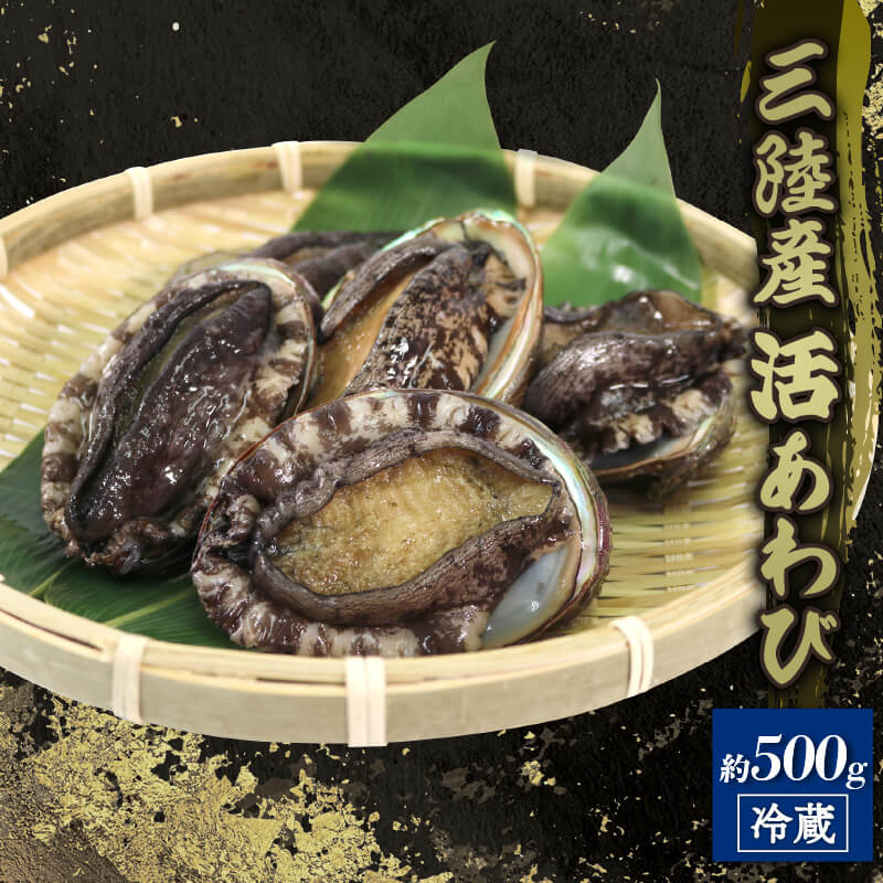 活エゾアワビ 約 500g 冷蔵 鮑 蝦夷あわび レシピ付き 剥きヘラ付き 蝦夷あわび 三陸産 鮑 あわび 刺し身 刺身 バーベキュー ステーキ バター焼き 30000円