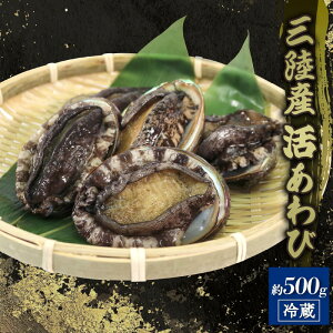 【ふるさと納税】 活エゾアワビ 約500g 冷蔵 鮑 蝦夷あわび 三陸