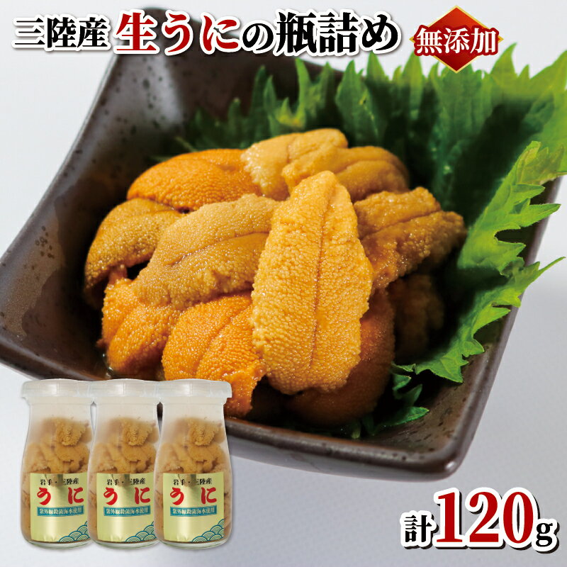 【ふるさと納税】 生ウニ 牛乳瓶 無添加 冷蔵 120g (40g×3本) 三陸産 ミョウバン不使用 国産 岩手県産 天然 キタムラサキウニ 雲丹 大船渡市 岩手県 ウニ丼 刺身