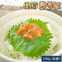 【ふるさと納税】 三陸産 汐うに 100g 特選 潮うに 塩うに 岩手県産ウニ 三陸産ウニ ウニ丼 魚介 海産物 海の幸 うに丼 刺身 惣菜 加工品 ご飯のお供 ウニ 国産 岩手県産 1万円 10000円