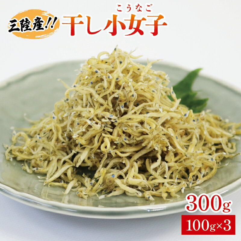 【ふるさと納税】 三陸産 干し小女子 300g 100g×3p 冷凍 小分け 魚貝類 加工食品 イカナゴ いかなご ご飯のお供 おつまみ 1万円 10000円