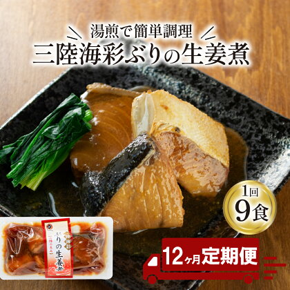 【 定期便 12ヶ月 】 ぶり 生姜煮 計108パック ( 9パック × 12回 ) ブリ 鰤 惣菜 常備食 常温保存可能 電子レンジ 簡単調理 レトルト 常温 三陸海彩 簡単調理のお惣菜