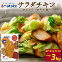 【ふるさと納税】 サラダチキン タンドリーチキン風 100g×5個 〈 単品 or 定期便が選べる 〉 アマタケ 国産 鶏肉 リン酸塩不使用 小分け ダイエット 冷凍 タンパク質 トレーニング 限定 オールフリー 抗生物質不使用 むね肉 低カロリー