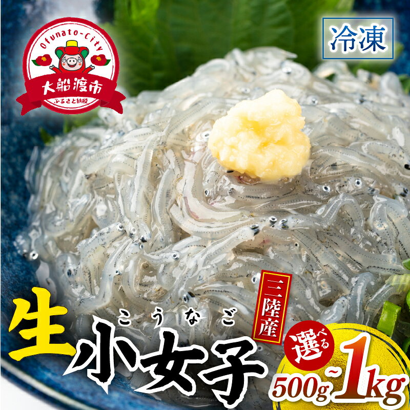 生 小女子(こうなご) 三陸産 数量限定 冷凍 刺身 生食 選べる容量 500g 1kg 小分け 刺身用 生食可能 小女子 こうなご 新子 しんこ イカナゴ 稚魚 新鮮 海鮮 魚介 国産 取り寄せ グルメ 急速冷凍 岩手 大船渡 岩手県 大船渡市