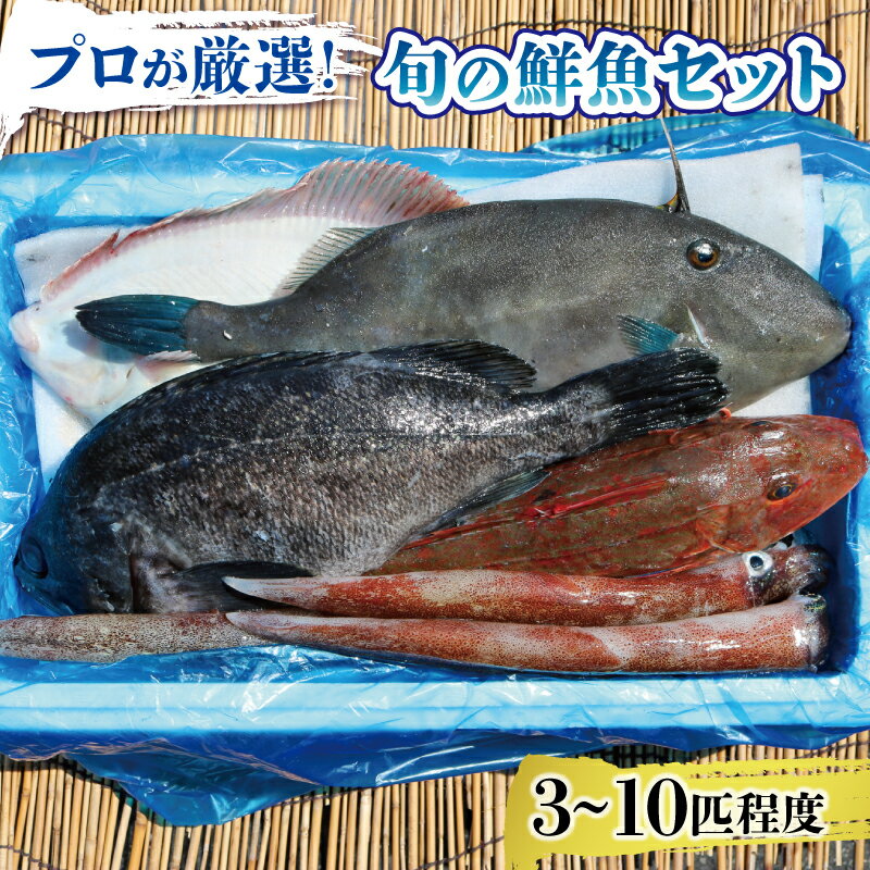 鮮魚 旬 獲れたて セット 3〜10匹 鮮魚BOX お楽しみ おまかせ 詰め合わせ 魚介類 アジ 鯵 スルメイカ ヒラメ メバル イサダ ワカメ タラ 牡蠣 10000円 1万円