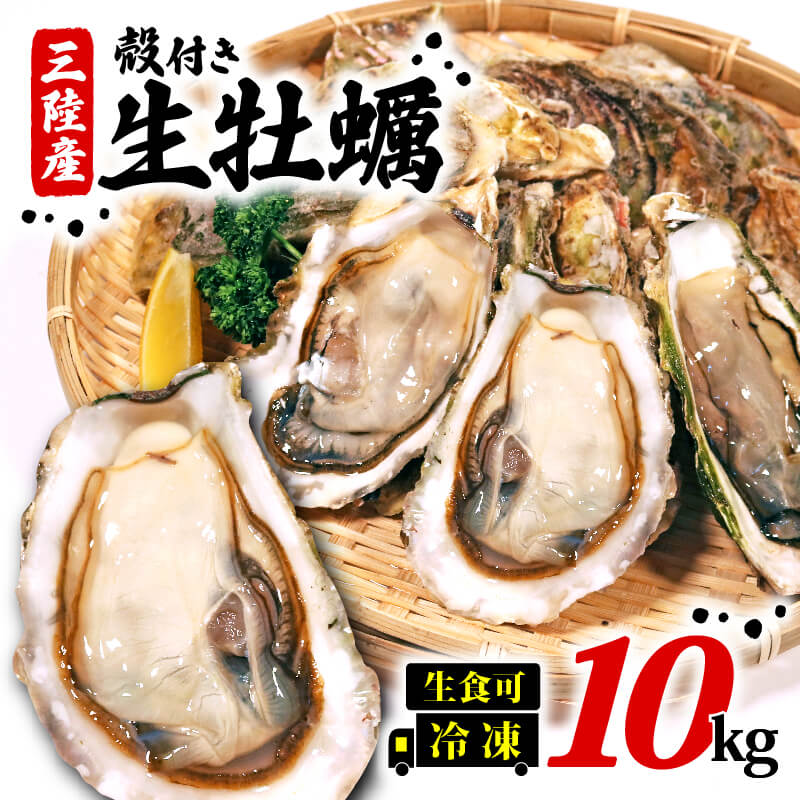 岩手県産冷凍殻付き牡蠣(生食可)10kg 殻付 殻付き サイズが選べる(125g~230g) かき カキ 生食 冷凍 殻付き 生食用 三陸 三陸産 大船渡 カンカン焼き かんかん焼き BBQ 貝 海 海のミルク