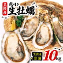 8位! 口コミ数「0件」評価「0」 岩手県産冷凍殻付き牡蠣（生食可）10kg 殻付 殻付き サイズが選べる(125g~230g) かき カキ 生食 冷凍 殻付き 生食用 三陸･･･ 