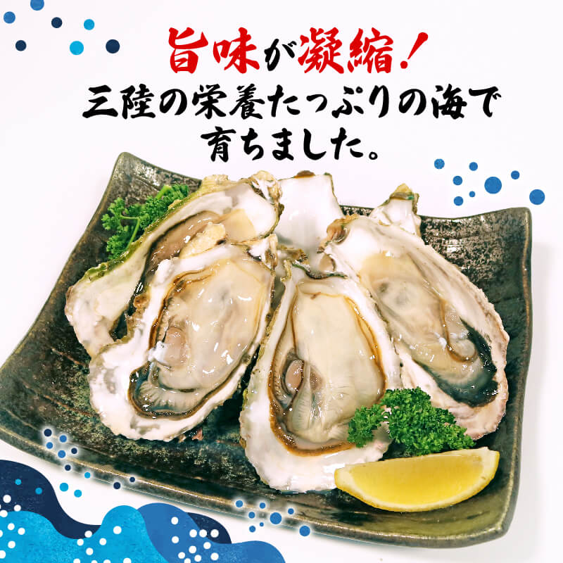 【ふるさと納税】 岩手県産冷凍殻付き牡蠣（生食可）10kg 殻付 殻付き サイズが選べる(125g~230g) かき カキ 生食 冷凍 殻付き 生食用 三陸 三陸産 大船渡 カンカン焼き かんかん焼き BBQ 貝 海 海のミルク