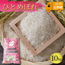  米 定期便 10kg 3ヶ月 精米 一等米 ひとめぼれ 岩手県産 ご飯 白米