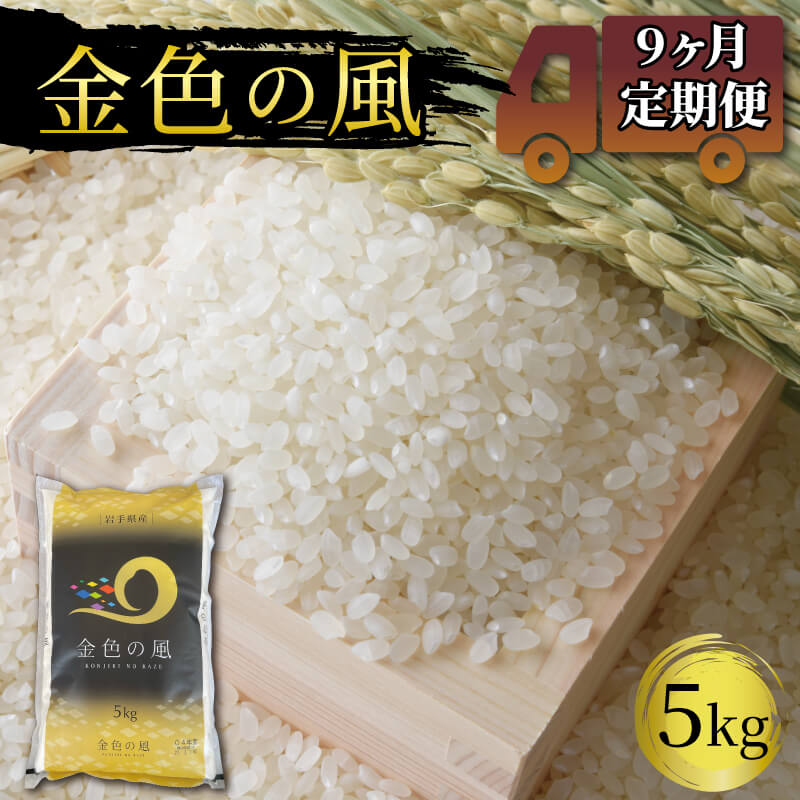 【ふるさと納税】 米 定期便 9ヶ月 金色の風 5kg × 9回 (計45kg) 精米 一等米 岩手県産 ご飯 白米 1