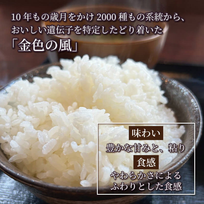 【ふるさと納税】 米 定期便 2kg 3ヶ月 精米 一等米 金色の風 岩手県産 ご飯 白米