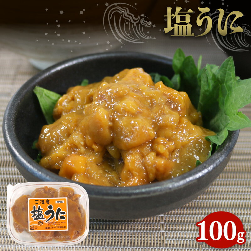 【ふるさと納税】 塩うに 冷凍 100g 無添加 甘口 三陸