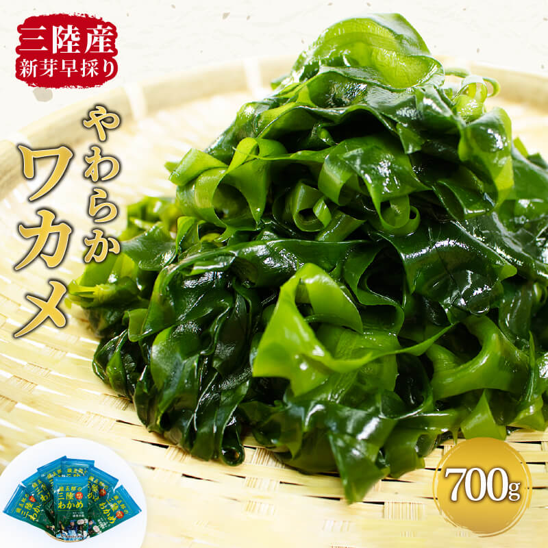 【ふるさと納税】 三陸わかめ 鐵五郎の三陸わかめ 早採れ 700g （100g×7袋） 綾里 ワカメ 新芽 冷蔵