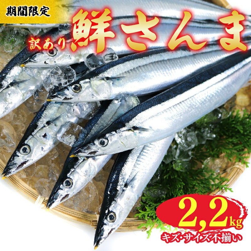 【ふるさと納税】 訳あり 鮮さんま 約2.2kg 冷蔵 期間限定!!