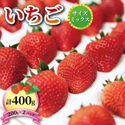 【ふるさと納税】 いちご 1種 400g ( 200g × 2 ) 6~12月お届け 品種おまかせ フルーツ 果物 苺 イチゴ なつあかり 信大BS8-9 夏のしずく 夏の輝 すずあかね リアスター夏苺 夏いちご 三陸産 大船渡 国産 期間限定 季節限定 9000円 9千円